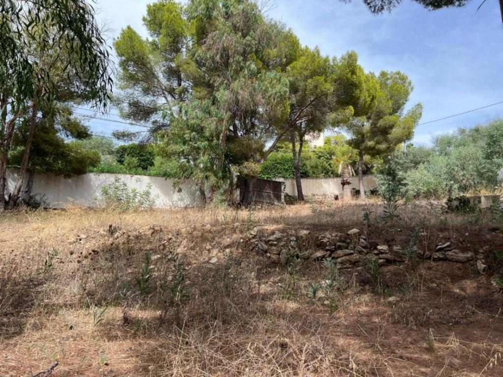 plot in Moraira