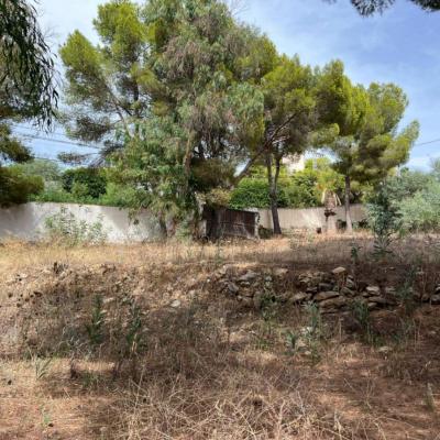 plot in Moraira