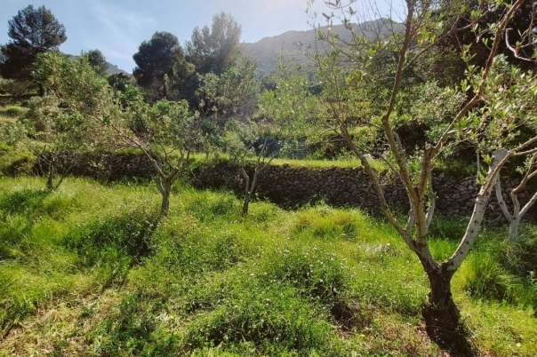 3 bed villa in Jalón