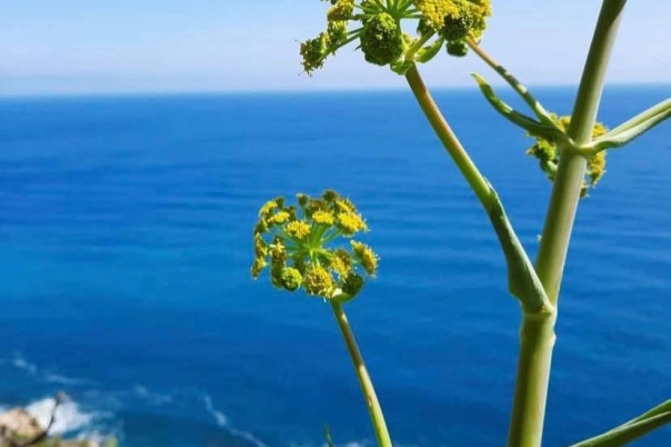 Visiting Cala Llebeig - Cumbre Del Sol Benitachell