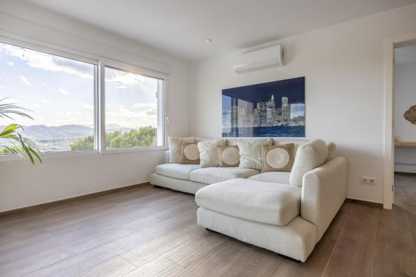 5 bed villas in Javea
