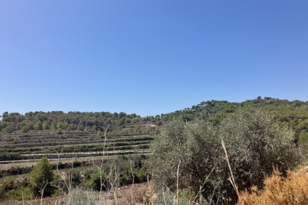 plots of land in Teulada