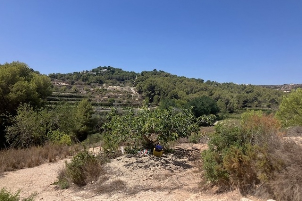 plots of land in Teulada