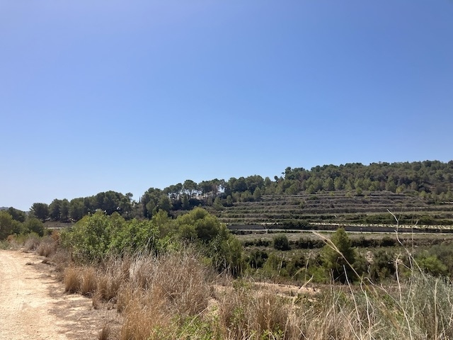 plots of land in Teulada