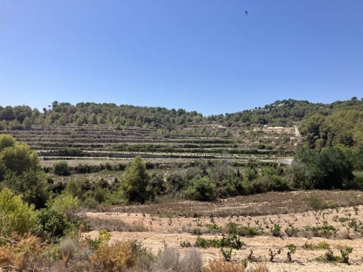 plots of land in Teulada