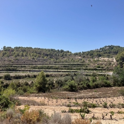 plots of land in Teulada