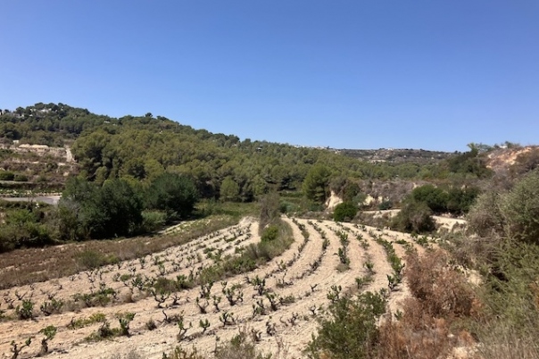 plots of land in Teulada