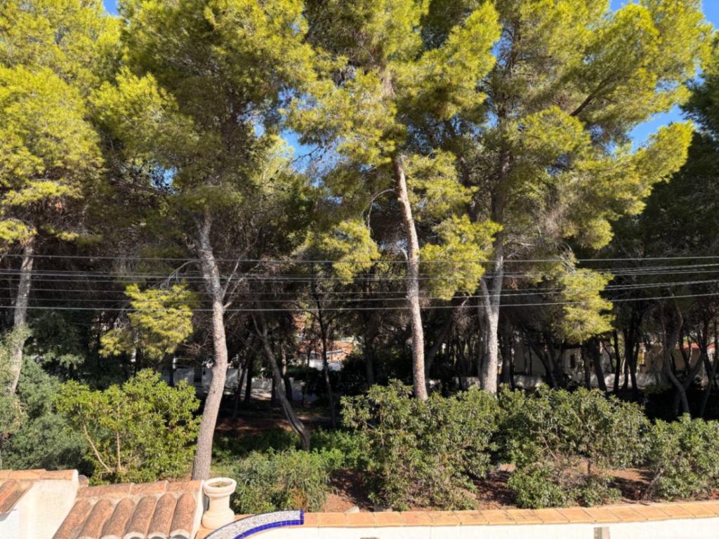 5 bed villa in Moraira