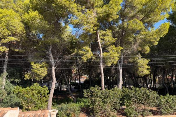 5 bed villa in Moraira
