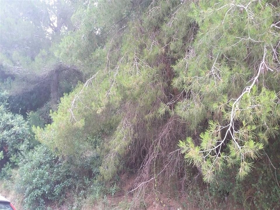 plot in Benitachell