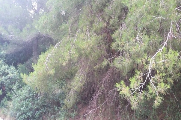 plot in Benitachell