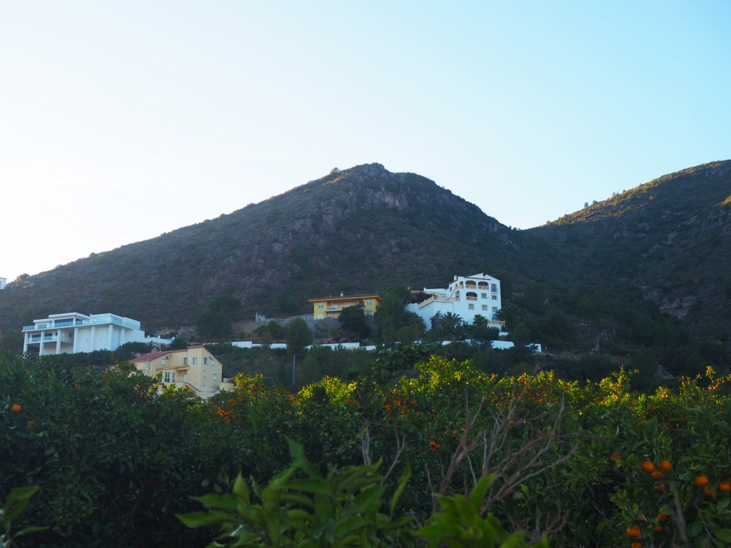 plot in Pego