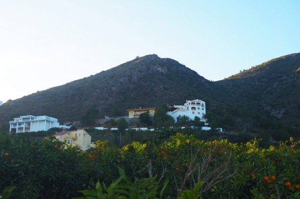 plot in Pego