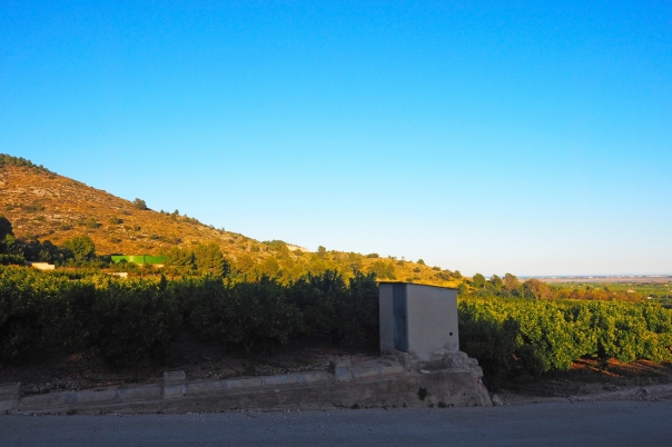 plot in Pego