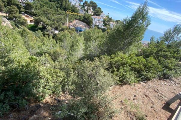 plots of land in Javea