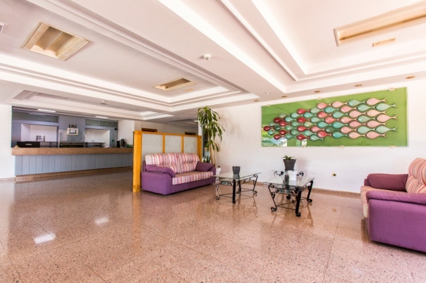 study in Calpe