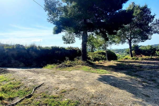 7 bed finca in Teulada