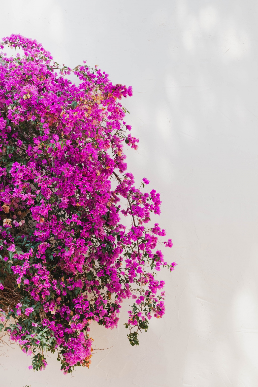 Hotel Ritual de Terra - Resort & Spa Javea