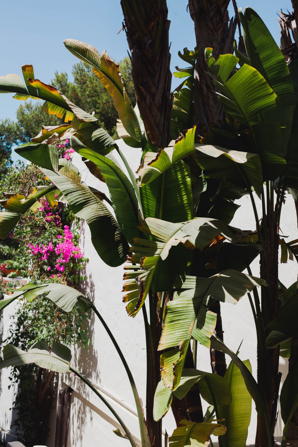 Hotel Ritual de Terra - Resort & Spa Javea