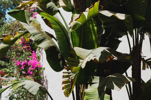 Hotel Ritual de Terra - Resort & Spa Javea