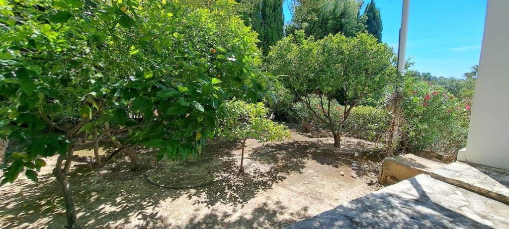 4 bed villas in Benissa