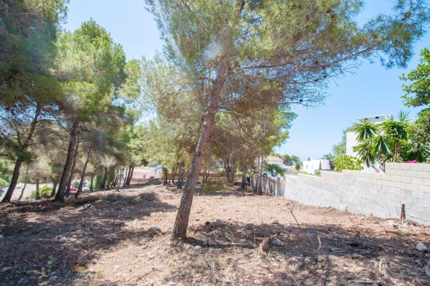 plot in Moraira