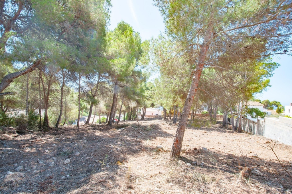 plot in Moraira