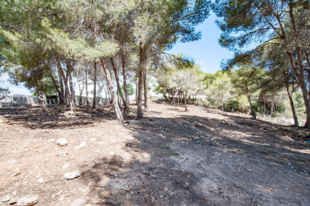 plot in Moraira