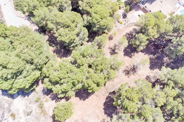 plot in Moraira