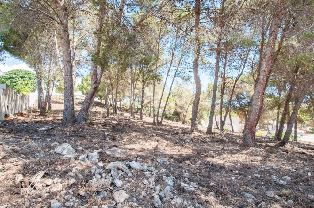 plot in Moraira