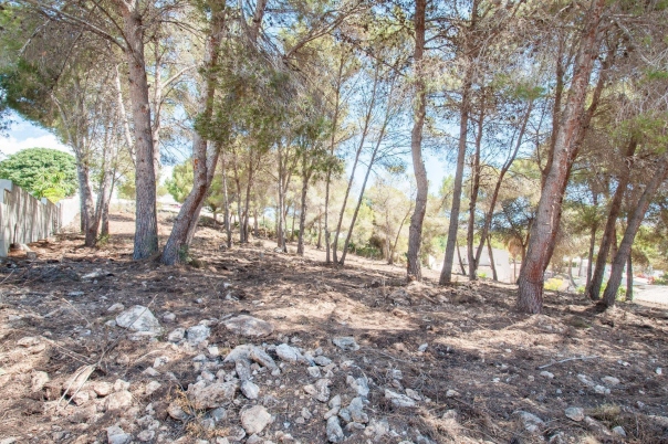 plot in Moraira