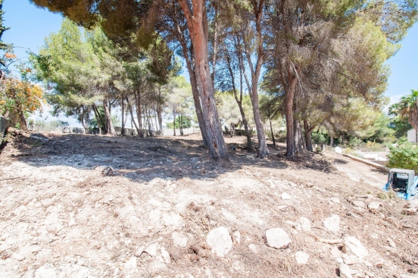 plot in Moraira