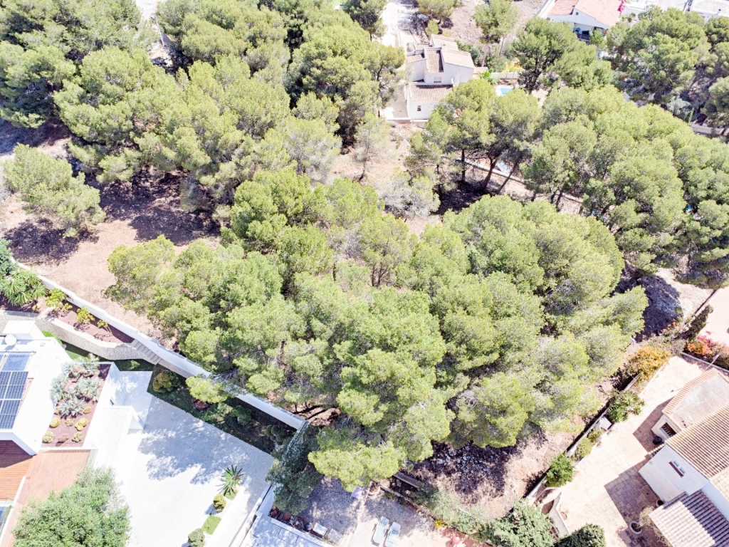 plot in Moraira