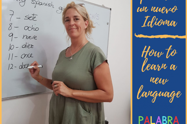 Linguanet Spain - Javea Language School & Spanish Classes