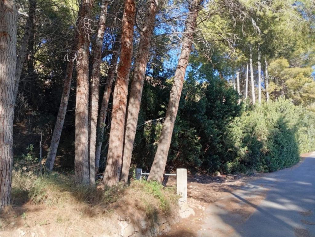 plot in Calpe
