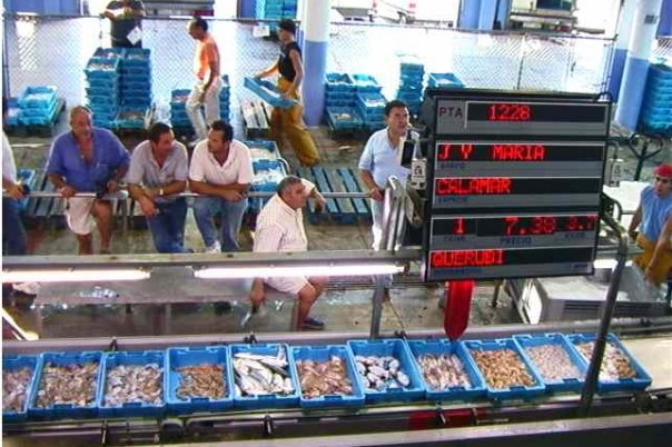 Calpe Fish Market – La Lonja de Calpe