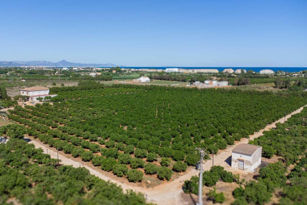 villa in Denia