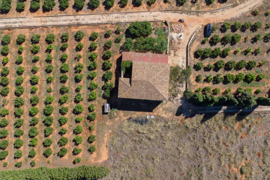 villa in Denia