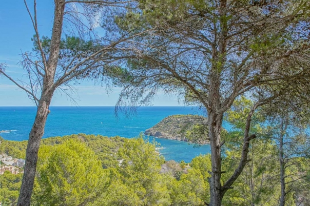 4 bed villa in Jávea