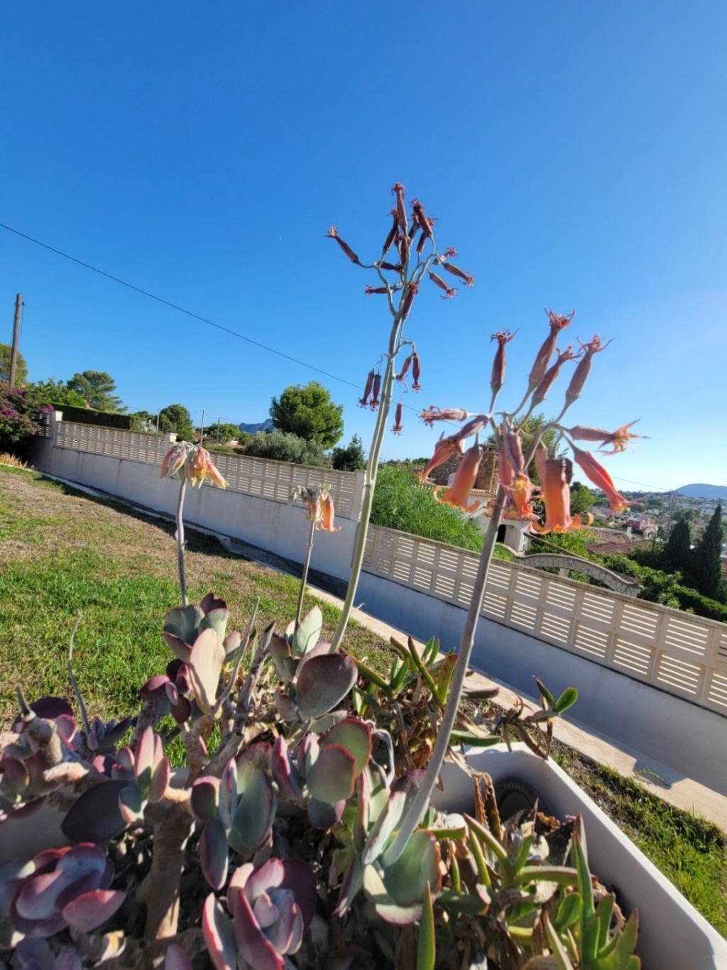 3 bed casa / chalet in Calpe / Calp