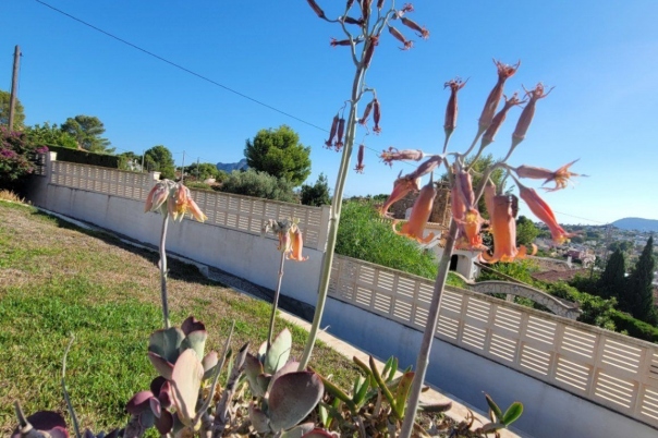 3 bed casa / chalet in Calpe / Calp