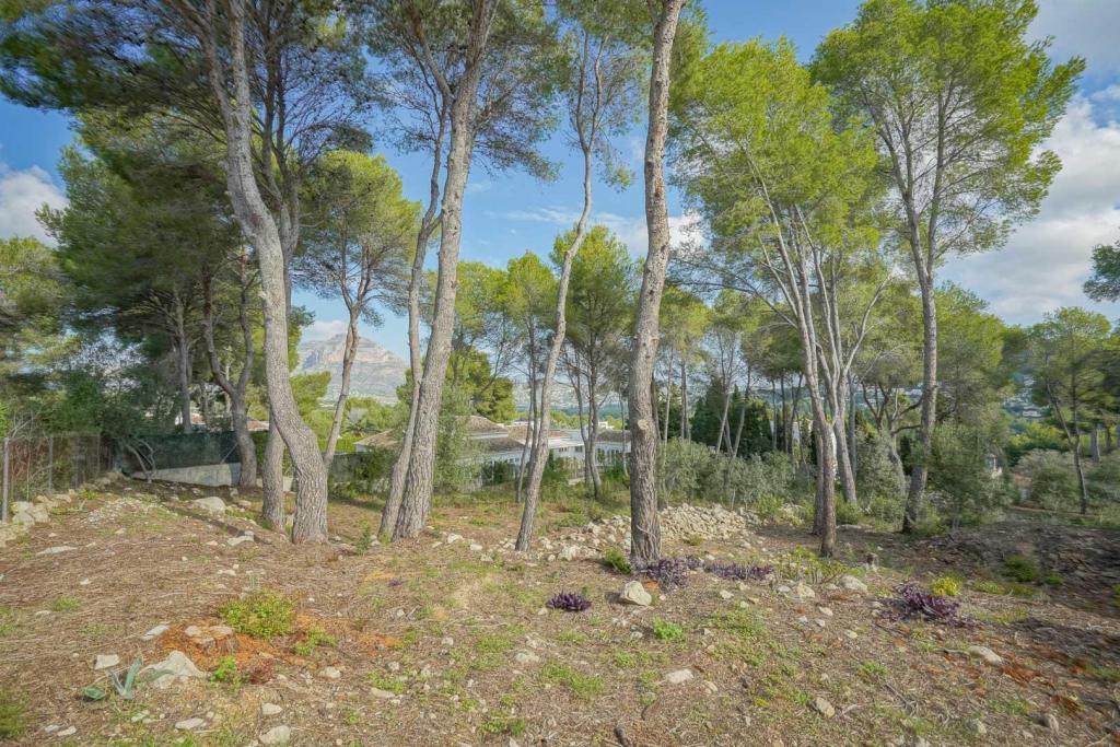 3 bed plot in Jávea