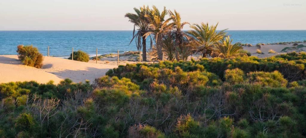 2 bed apartment in Guardamar del Segura
