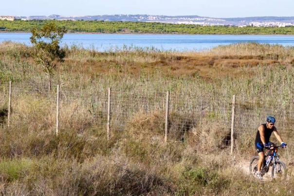 2 bed apartment in Guardamar del Segura