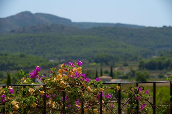 5 bed villa in Jalón