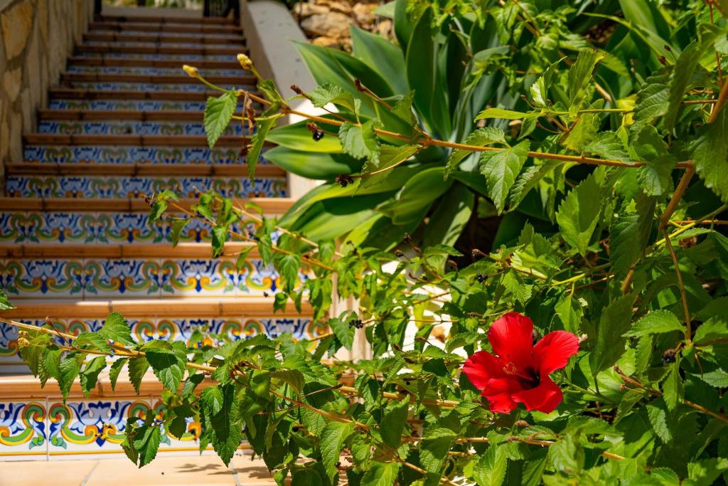 5 bed villa in Jalón