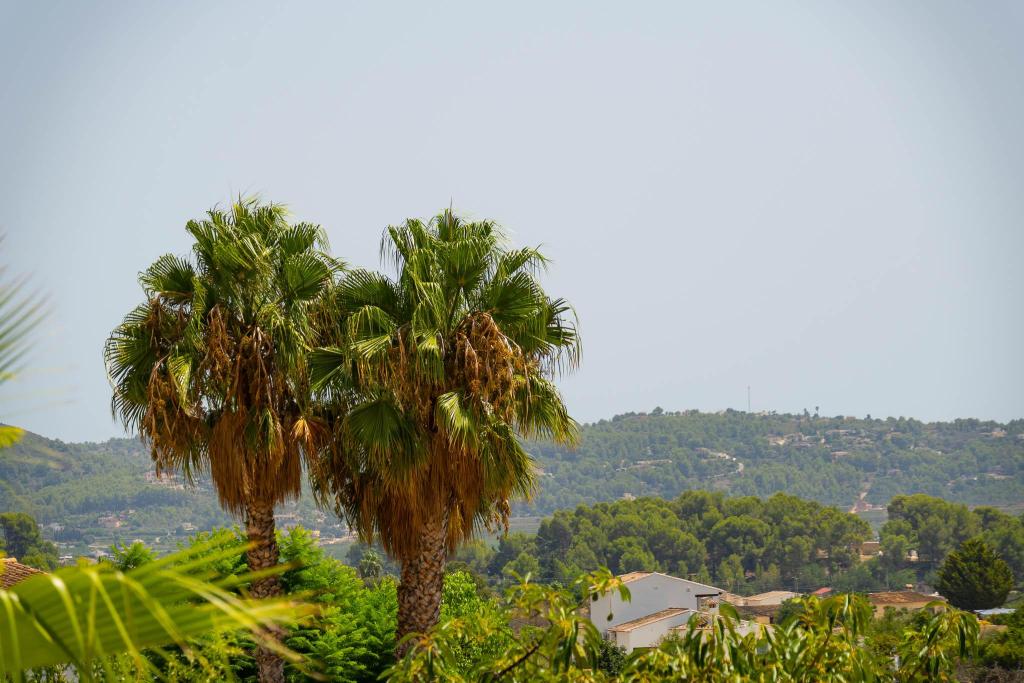 5 bed villa in Jalón