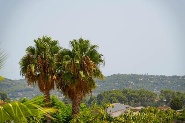 5 bed villa in Jalón