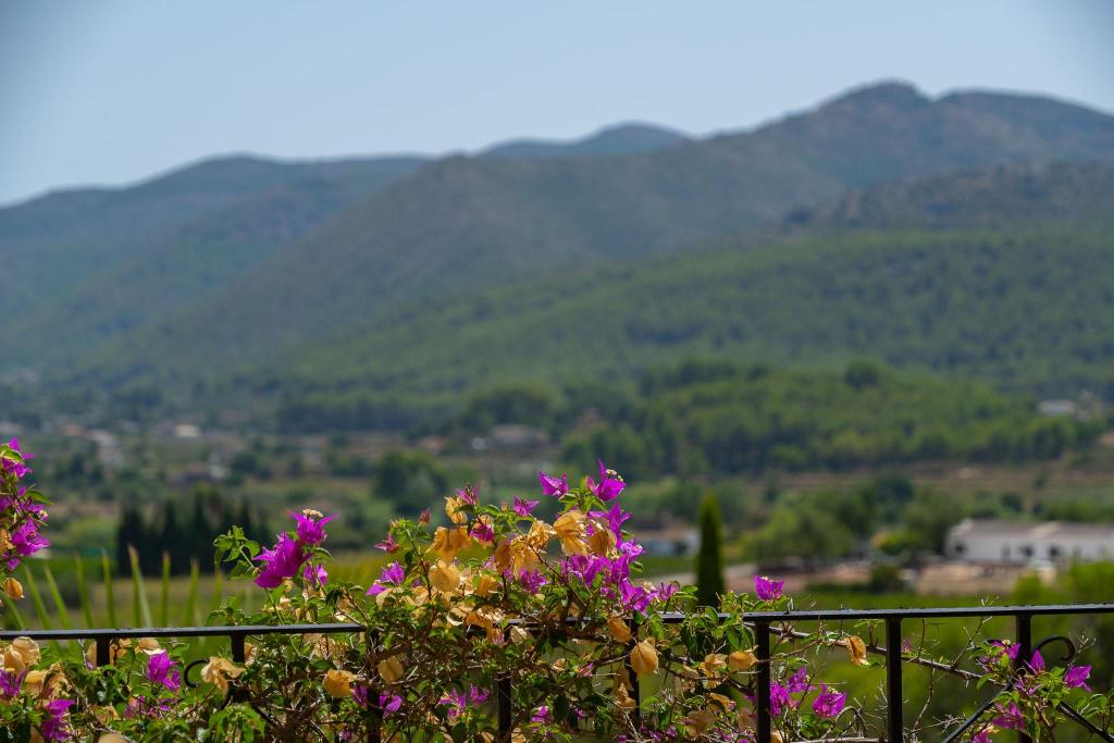 5 bed villa in Jalón