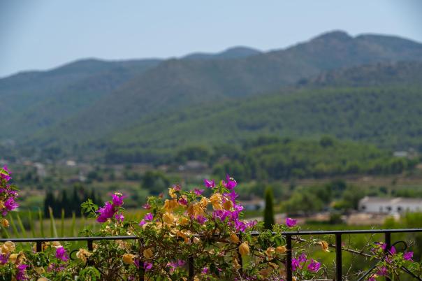 5 bed villa in Jalón